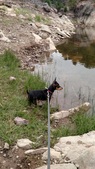 Enlarge photo 12
