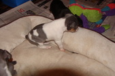 Enlarge photo 24