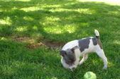 Enlarge photo 12
