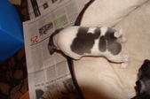 Enlarge photo 19