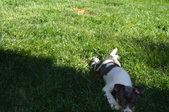 Enlarge photo 9