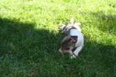 Enlarge photo 8