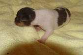 Enlarge photo 35