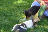 Enlarge photo 4