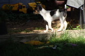 Enlarge photo 2