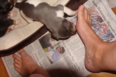 Enlarge photo 20