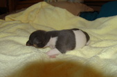 Enlarge photo 40