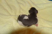 Enlarge photo 38