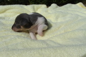 Enlarge photo 27