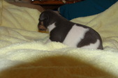 Enlarge photo 37