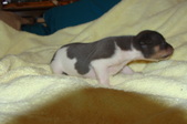 Enlarge photo 36