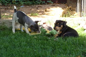 Enlarge photo 4