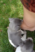 Enlarge photo 14