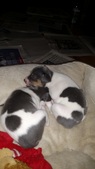 Enlarge photo 22
