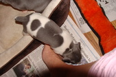Enlarge photo 18