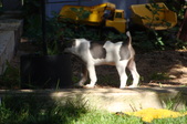 Enlarge photo 10