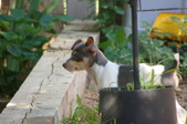 Enlarge photo 9