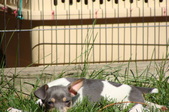 Enlarge photo 4