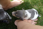 Enlarge photo 15