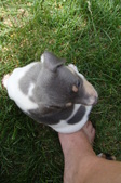 Enlarge photo 14