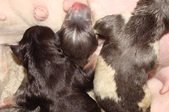 Enlarge photo 40