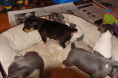 Enlarge photo 19