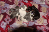 Enlarge photo 33