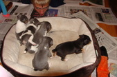 Enlarge photo 11