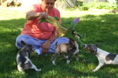 Enlarge photo 7