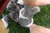 Enlarge photo 13