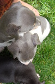 Enlarge photo 12