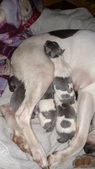 Enlarge photo 23