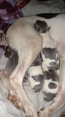Enlarge photo 24