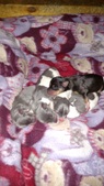 Enlarge photo 27