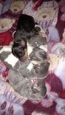 Enlarge photo 28