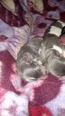 Enlarge photo 31