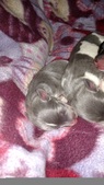 Enlarge photo 26
