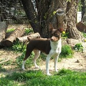 Enlarge photo 5