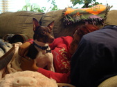 Enlarge photo 4
