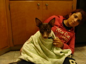 Enlarge photo 8