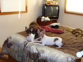 Enlarge photo 23