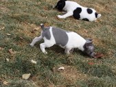 Enlarge photo 16