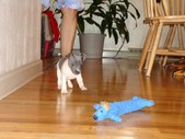 Enlarge photo 10