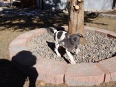 Enlarge photo 43