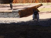 Enlarge photo 51