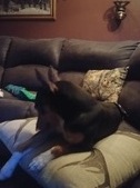 Enlarge photo 7