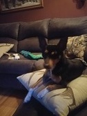 Enlarge photo 8
