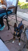 Enlarge photo 3