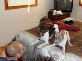 Enlarge photo 18