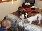 Enlarge photo 17